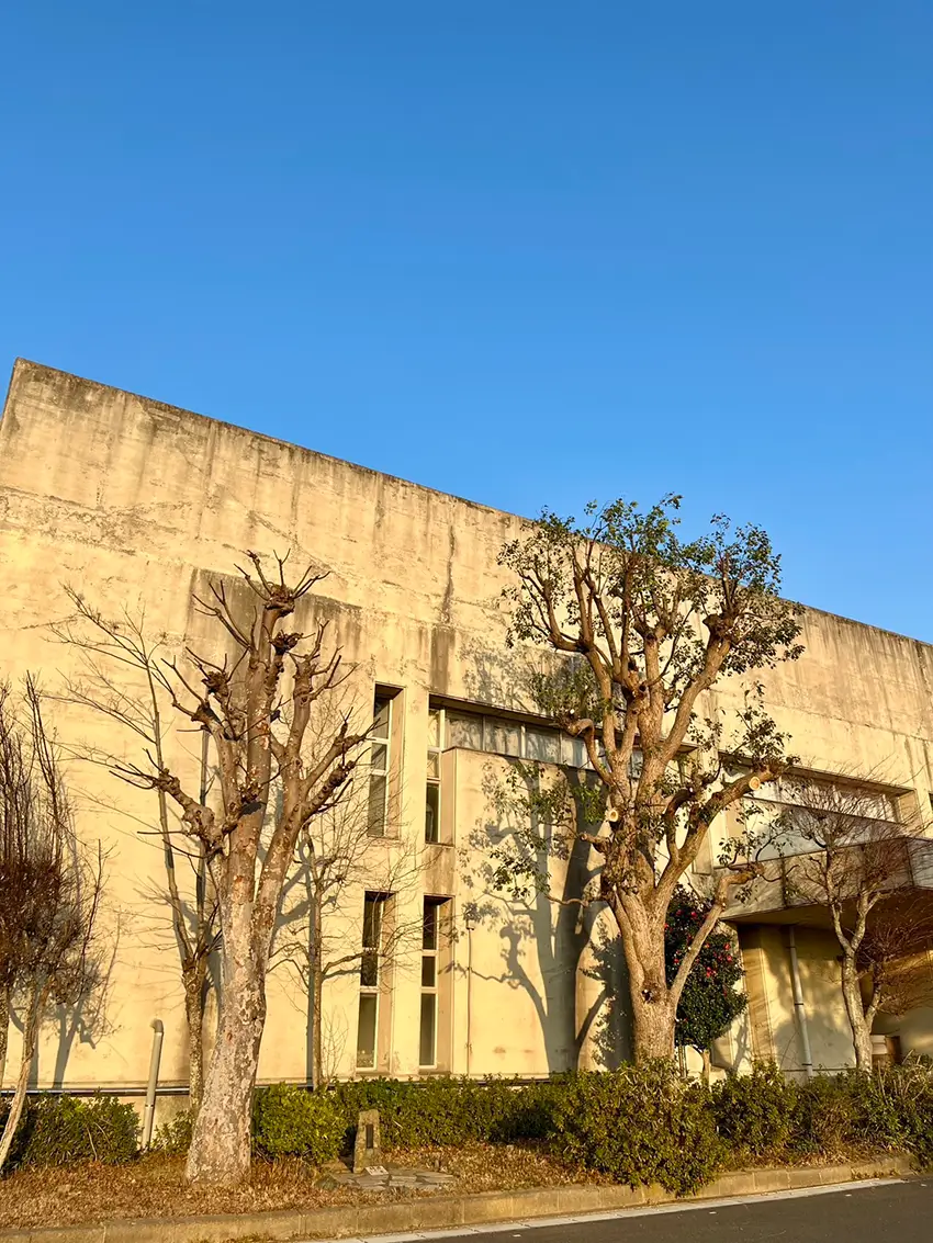 東金中学校の高木剪定にご協力致しました。